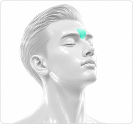 남성대상 1년 제모(4주 간격)
